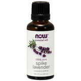 Essential Oil, Spike Lavender - 30 ml.
