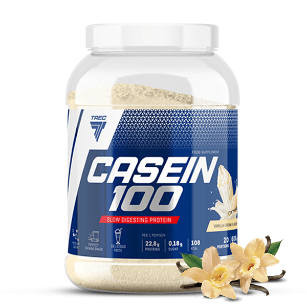 Casein 100, Vanilla - 600 grams