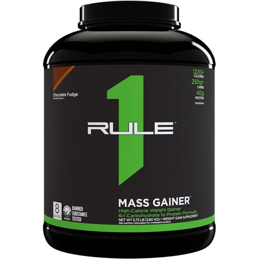 Mass Gainer, Chocolate Fudge - 2600 grams