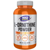 L-Ornithine, Powder - 227 grams