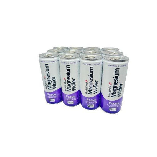 Magnesium Water Focus, Blueberry & Mint - 12 x 250 ml.